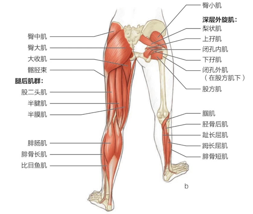 制定篮球交流计划以促进个人技能发展的方法_2